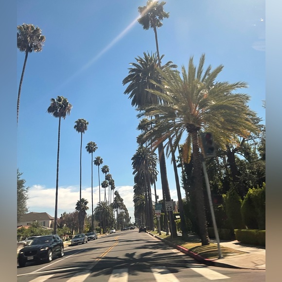 Meet your Posher, Ashley - Picture 2 of 2